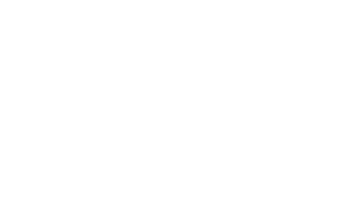 nitohockey logo